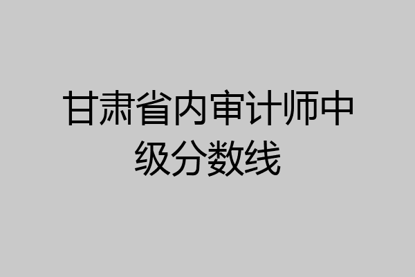 甘肃省内审计师中级分数线