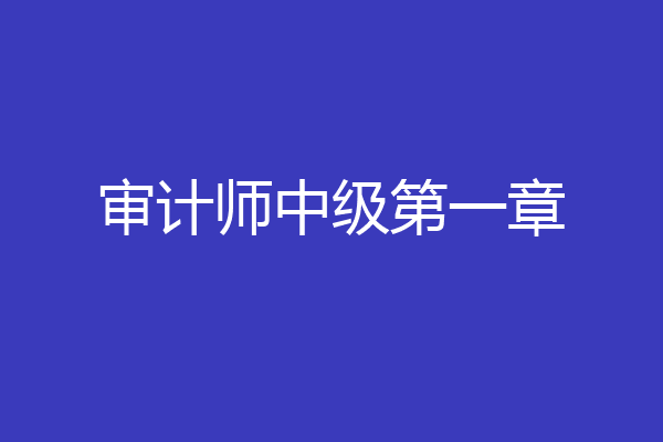 审计师中级第一章