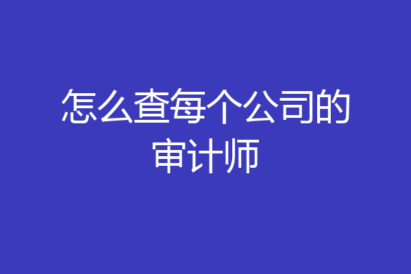 怎么查每个公司的审计师