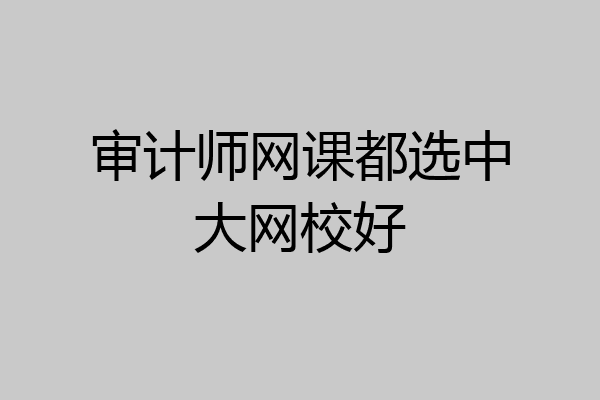 审计师网课都选中大网校好