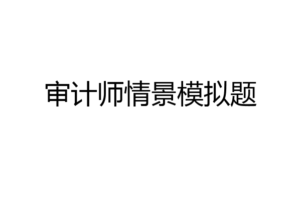 审计师情景模拟题