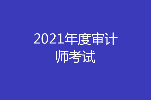 2021年度审计师考试