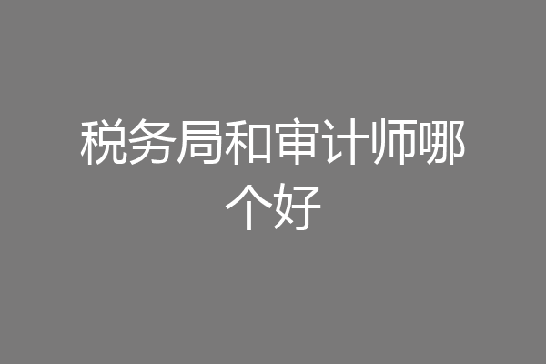 税务局和审计师哪个好