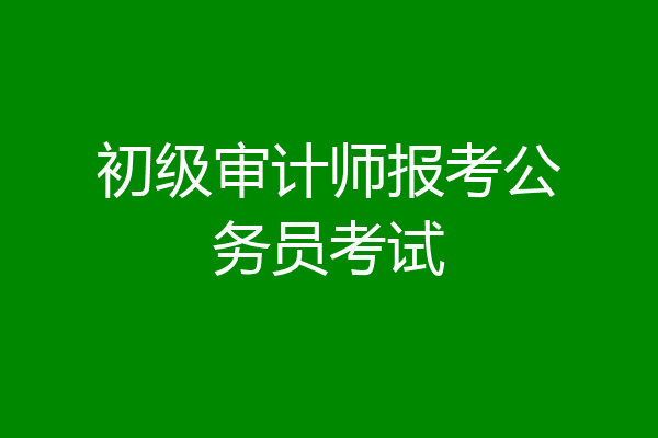 初级审计师报考公务员考试