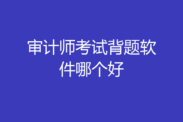 审计师考试背题软件哪个好