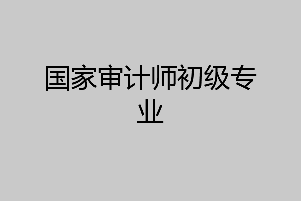 国家审计师初级专业