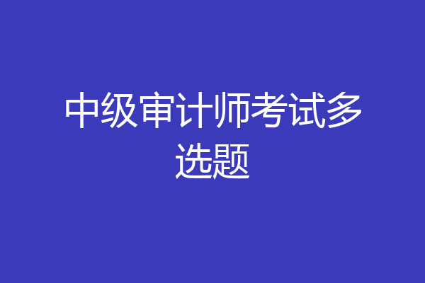 中级审计师考试多选题