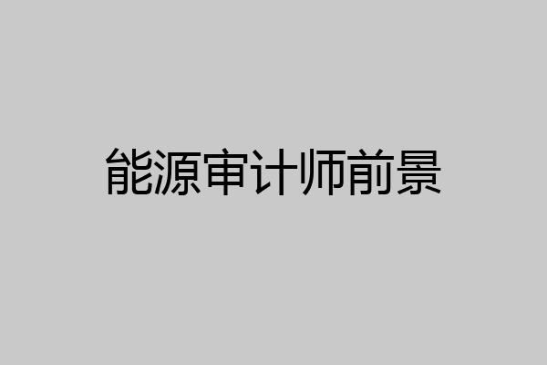 能源审计师前景