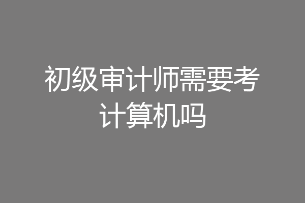 初级审计师需要考计算机吗