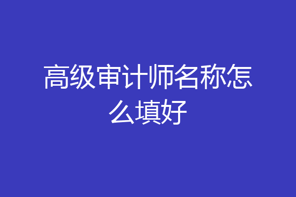 高级审计师名称怎么填好