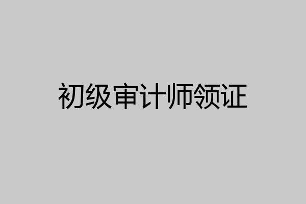 初级审计师领证