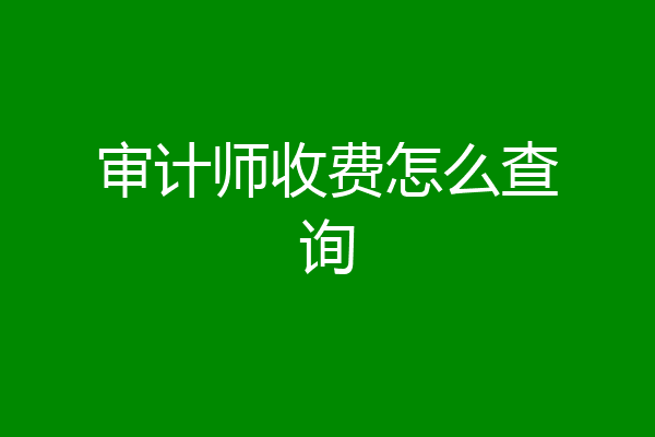 审计师收费怎么查询