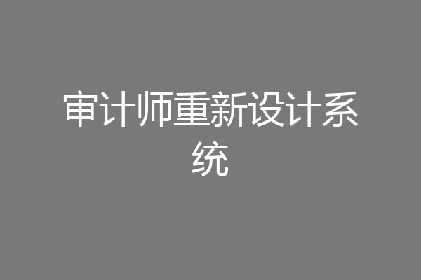 审计师重新设计系统