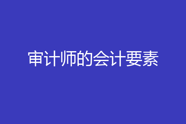 审计师的会计要素