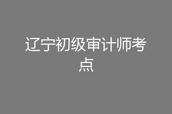 辽宁初级审计师考点
