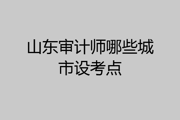 山东审计师哪些城市设考点