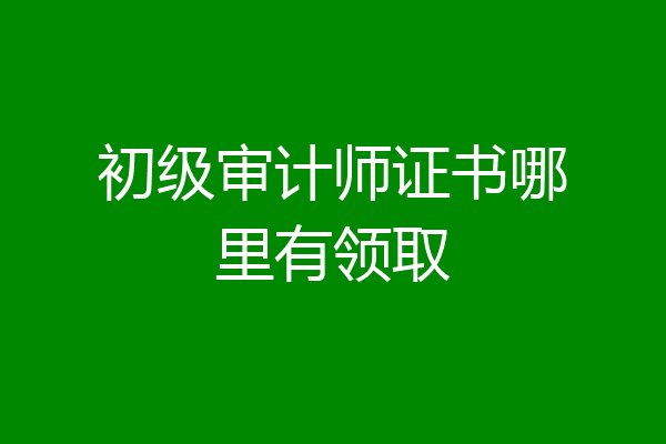 初级审计师证书哪里有领取