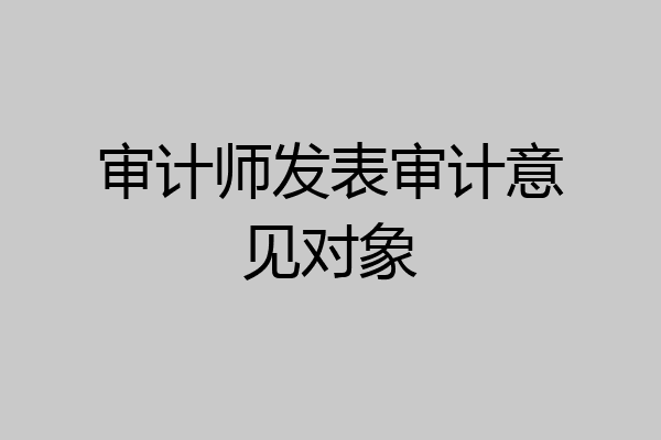 审计师发表审计意见对象