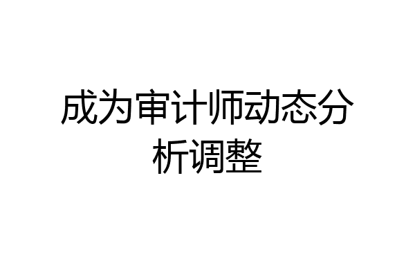 成为审计师动态分析调整