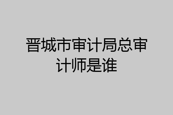 晋城市审计局总审计师是谁