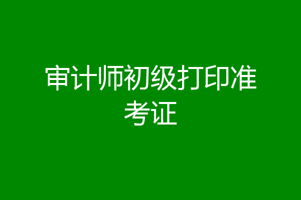 审计师初级打印准考证