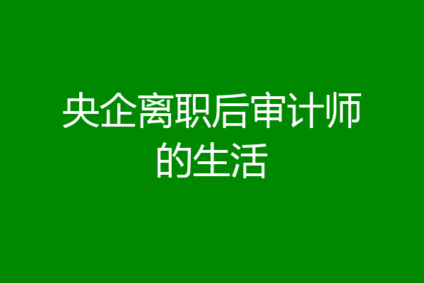央企离职后审计师的生活