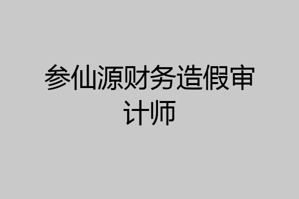 参仙源财务造假审计师