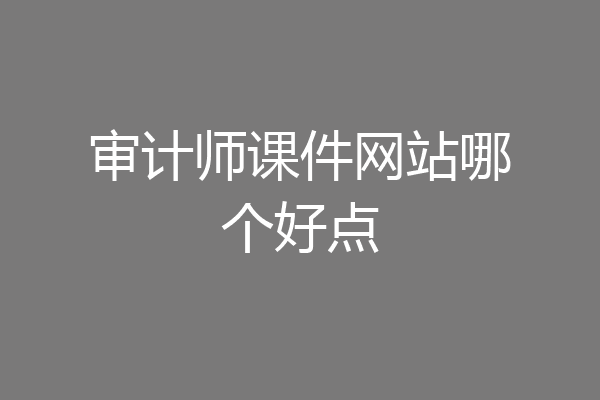 审计师课件网站哪个好点