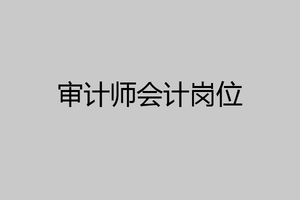 审计师会计岗位