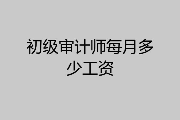 初级审计师每月多少工资