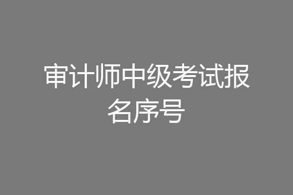 审计师中级考试报名序号