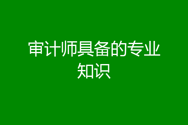 审计师具备的专业知识