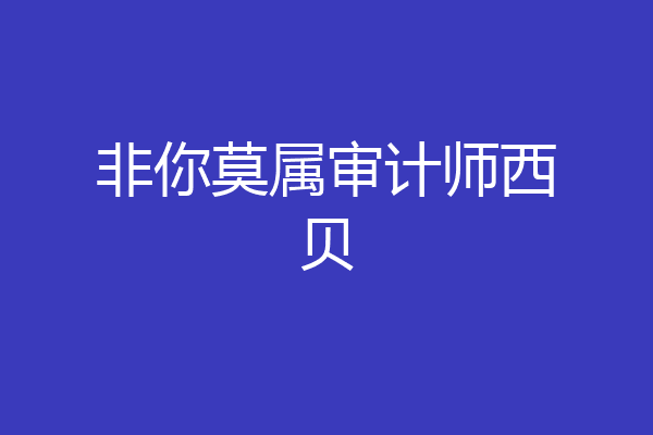 非你莫属审计师西贝