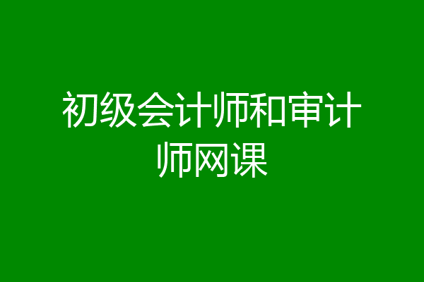 初级会计师和审计师网课