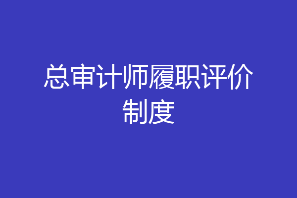 总审计师履职评价制度
