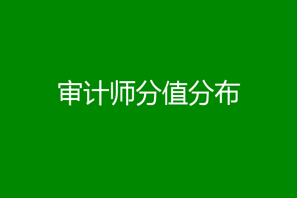 审计师分值分布