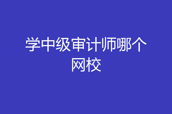 学中级审计师哪个网校