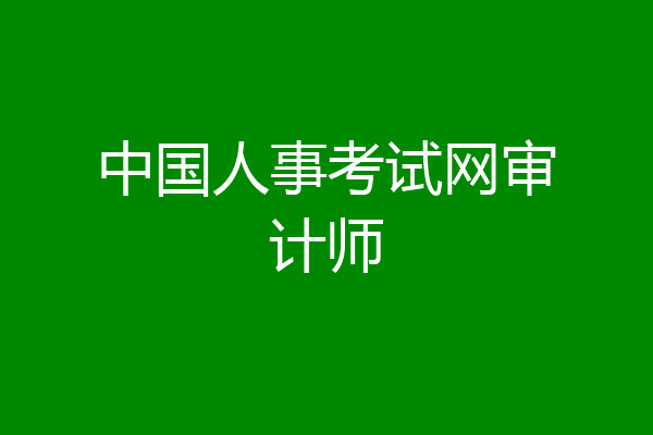 中国人事考试网审计师