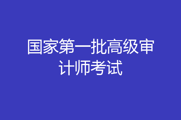 国家第一批高级审计师考试