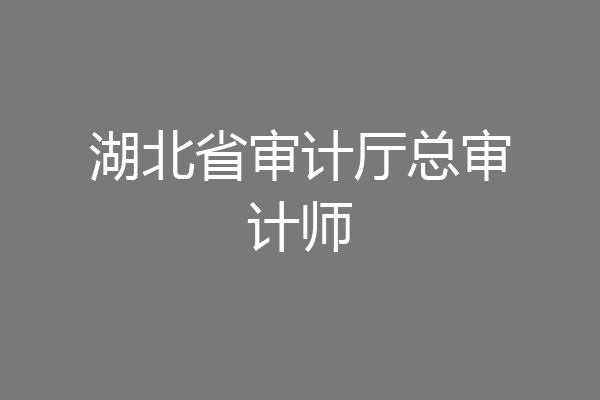 湖北省审计厅总审计师