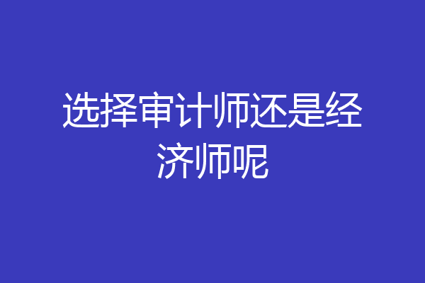 选择审计师还是经济师呢