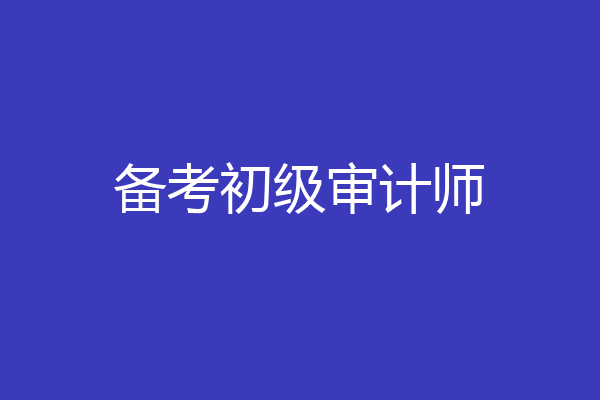 备考初级审计师