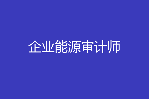 企业能源审计师