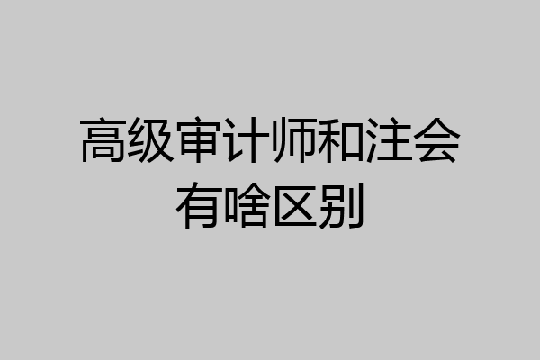高级审计师和注会有啥区别