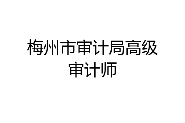 梅州市审计局高级审计师