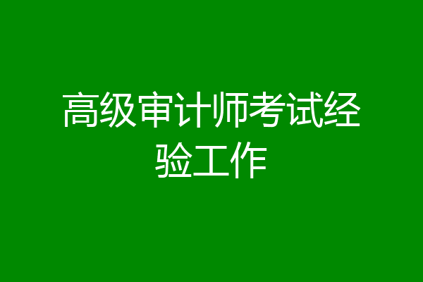 高级审计师考试经验工作