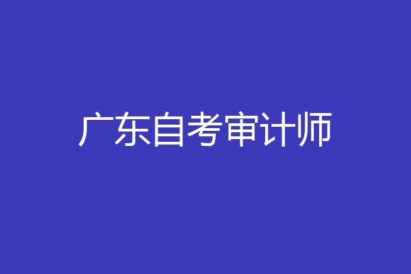 广东自考审计师