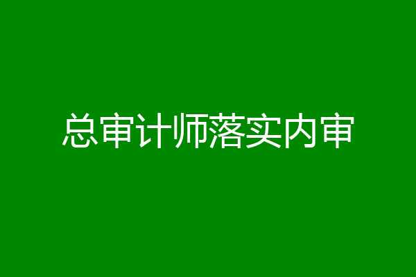 总审计师落实内审