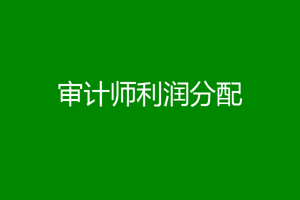 审计师利润分配
