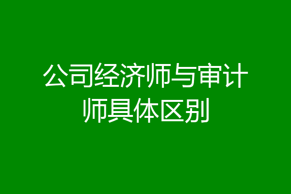 公司经济师与审计师具体区别
